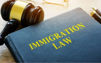 immigration-lawyer